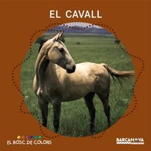 El cavall (Llibres infantils i juvenils - El bosc de colors)