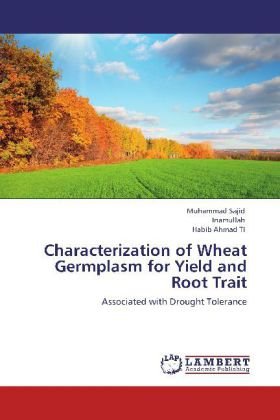 Characterization of Wheat Germplasm for Yield and Root Trait: Associated with Drought Tolerance