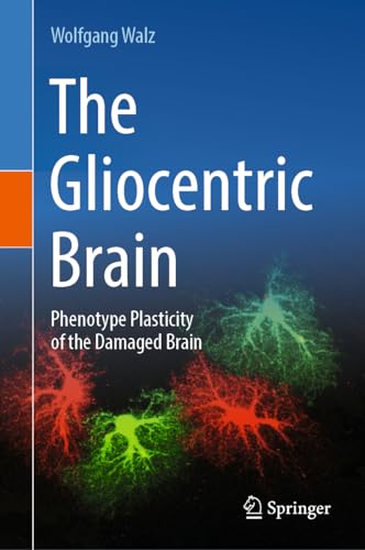 The Gliocentric Brain: Phenotype Plasticity of the Damaged Brain