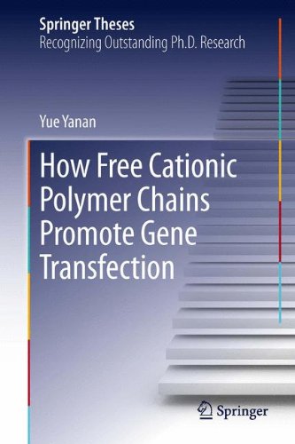How Free Cationic Polymer Chains Promote Gene Transfection (Springer Theses)