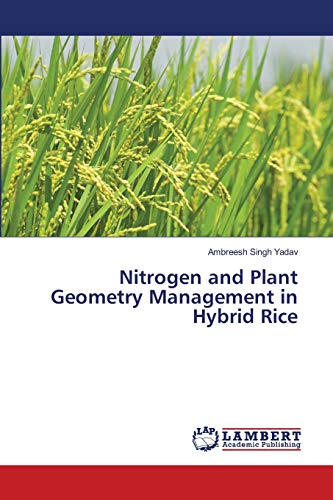 Nitrogen and Plant Geometry Management in Hybrid Rice