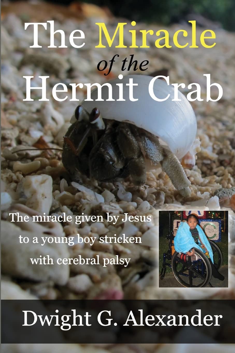 The Miracle of the Hermit Crab: The miracle given by Jesus to a young boy stricken with cerebral palsy: The miracle given by Jesus to a boy stricken with cerebral palsy