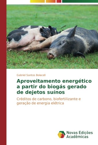 Aproveitamento energético a partir do biogás gerado de dejetos suínos: Créditos de carbono, biofertilizante e geração de energia elétrica
