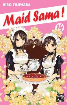 Maid Sama !. Vol. 14