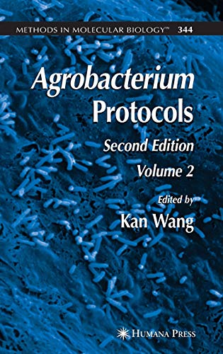 Agrobacterium Protocols: Volume II (Methods in Molecular Biology, 344, Band 344)
