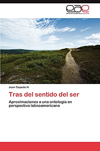 Tras del sentido del ser: Aproximaciones a una ontología en perspectiva latinoamericana