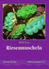 Riesenmuscheln