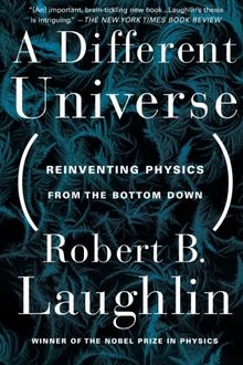 A Different Universe: Reinventing Physics from the Bottom Down