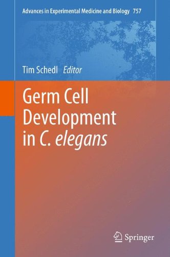 Germ Cell Development in C. elegans (Advances in Experimental Medicine and Biology)