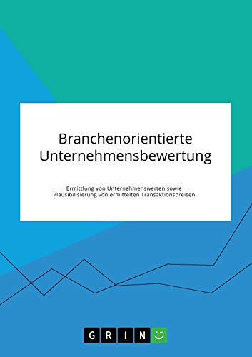 Branchenorientierte Unternehmensbewertung. Ermittlung von Unternehmenswerten sowie Plausibilisierung von ermittelten Transaktionspreisen: Magisterarbeit