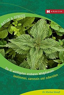 Die 12 wichtigsten essbaren Wildpflanzen: Bestimmen, sammeln und zubereiten (Natur & Genuss)