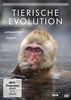 David Attenborough - Tierische Evolution