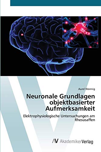 Neuronale Grundlagen objektbasierter Aufmerksamkeit: Elektrophysiologische Untersuchungen am Rhesusaffen