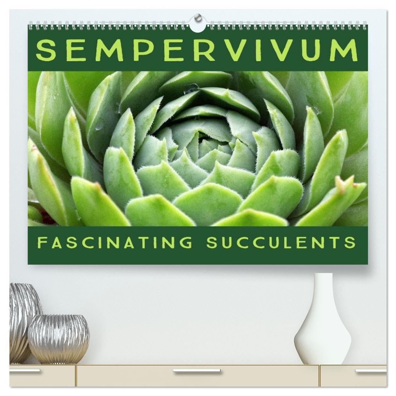 Sempervivum Fascinating Succulents (High Quality Premium Wall Calendar 2026 DIN A2 landscape),CALVENDO 12 Month Wall Calendar: Sempervivum, 12 wonderful portraits of the fascinating succulents