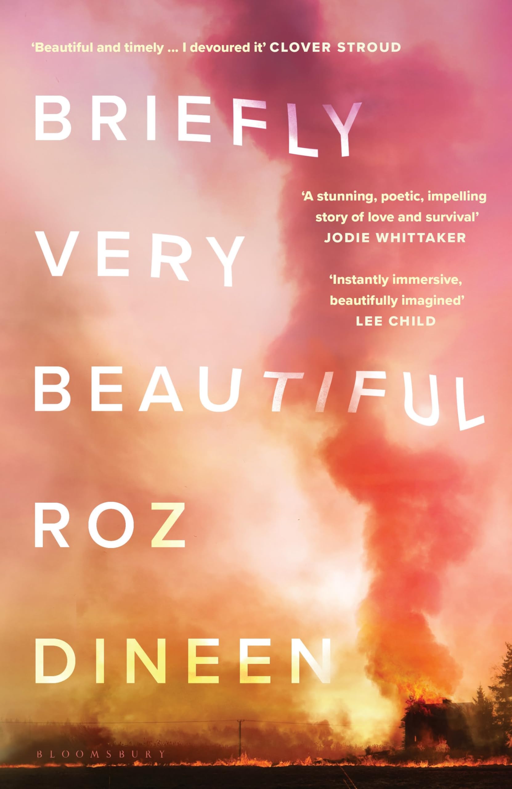 Roz Dineen Briefly Very Beautiful