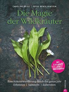 Wildkräuter Kochbuch: Die Magie der Wildkräuter. Eine Kräuterwanderung durch das ganze Jahr. Erkennen, sammeln, zubereiten – Mit Extraheft zum Mitnehmen. Wildkräuter bestimmen, Rezepte Wildpflanzen.