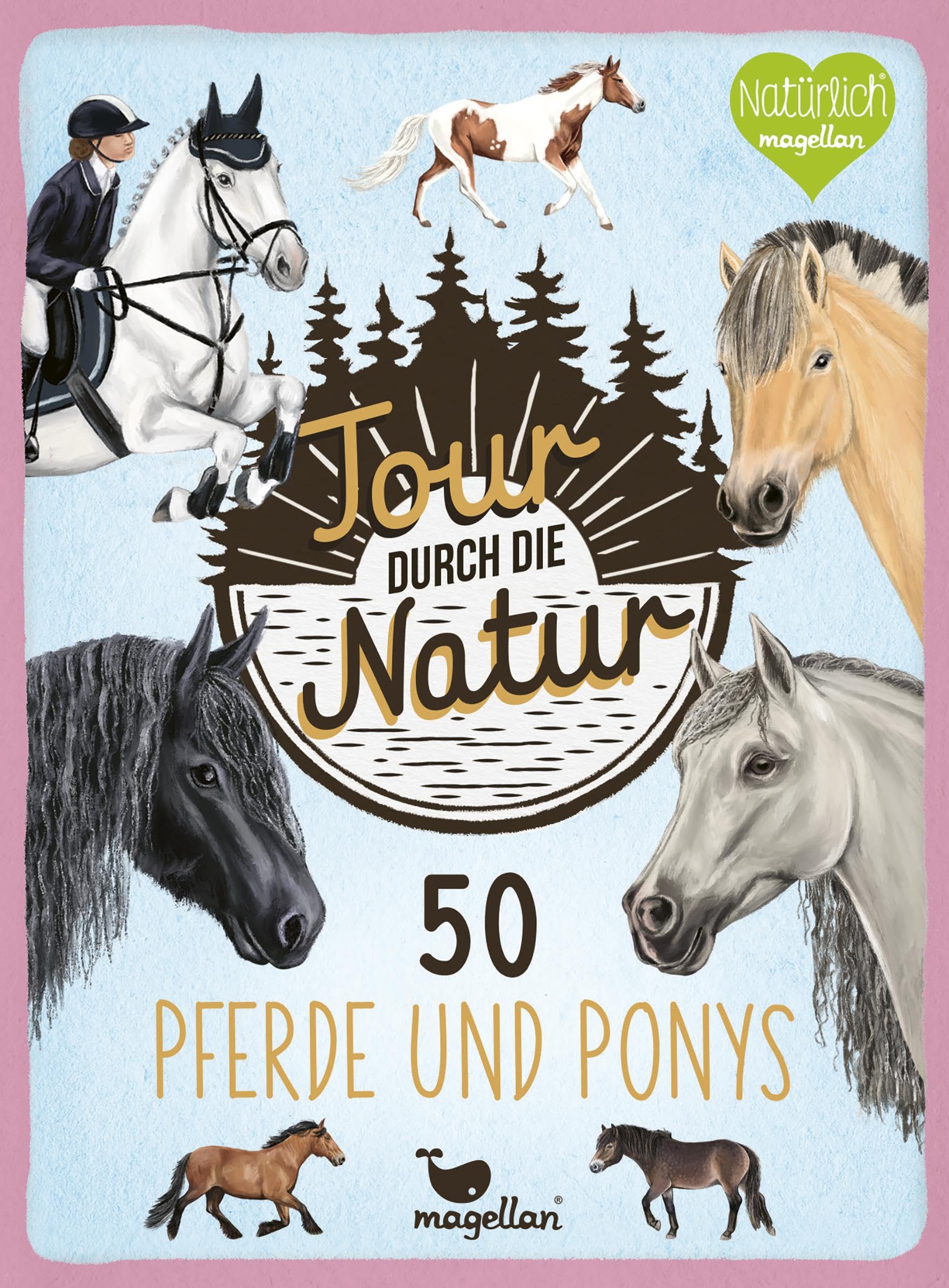 Tour durch die Natur - 50 Pferde und Ponys: Bestimmungskarten-Set mit 50 Tieren für Kinder ab 8 Jahren