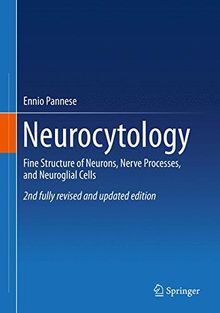 Neurocytology: Fine Structure of Neurons, Nerve Processes, and Neuroglial Cells