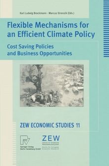 Flexible Mechanisms for an Efficient Climate Policy. Cost Saving Policies and Business Opportunities. Proceedings of an International Conference held ... Saving Policies and Business Opportunites