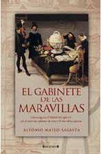 El gabinete de las maravillas (RUSTICA FICCION) von Mateo-sagasta, Alfonso | Buch | Zustand gut