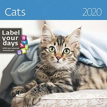 Cats Calendar - Calendars 2019 - 2020 Wall Calendar - Photo Calendar - 12 Month Calendar by Helma (Multilingual Edition)