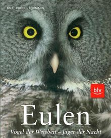 Eulen: Vögel der Weisheit - Jäger der Nacht