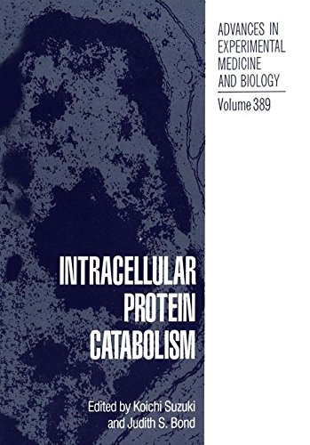 Intracellular Protein Catabolism (Advances in Experimental Medicine and Biology, Band 389)