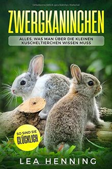 Zwergkaninchen: Alles, was man über die kleinen Kuscheltierchen wissen muss. So sind sie glücklich.