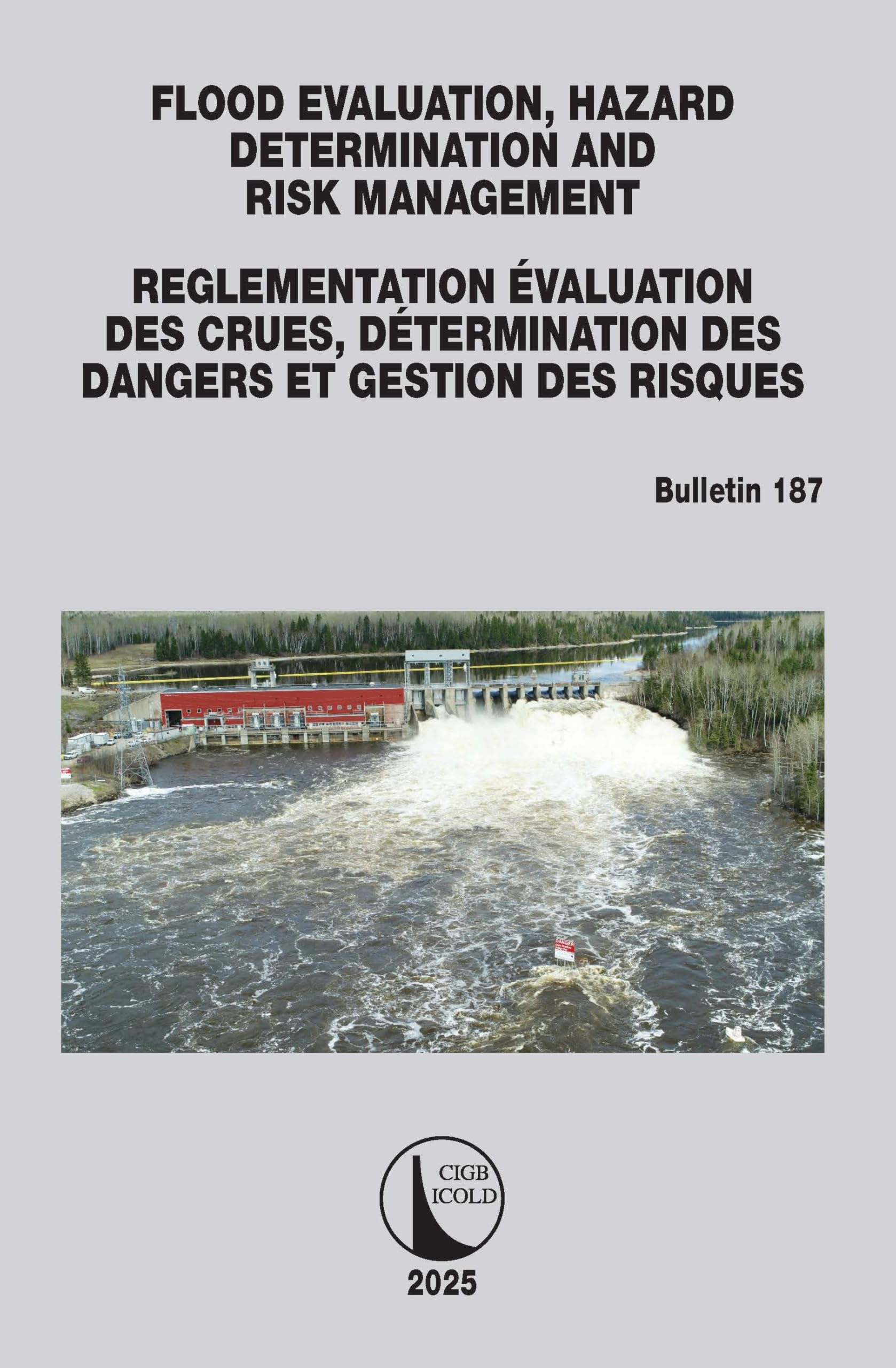 FLOOD EVALUATION, HAZARD DETERMINATION AND RISK MANAGEMENT / ÉVALUATION DES CRUES, DÉTERMINATION DES DANGERS ET GESTION DES RISQUES: ICOLD Bulletin 187 (Icold Bulletins)