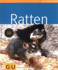 Ratten (GU TierRatgeber)