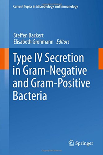 Type IV Secretion in Gram-Negative and Gram-Positive Bacteria (Current Topics in Microbiology and Immunology, Band 413)