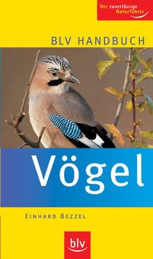 BLV Handbuch Vögel: Der zuverlässige Naturführer