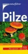 Pilze