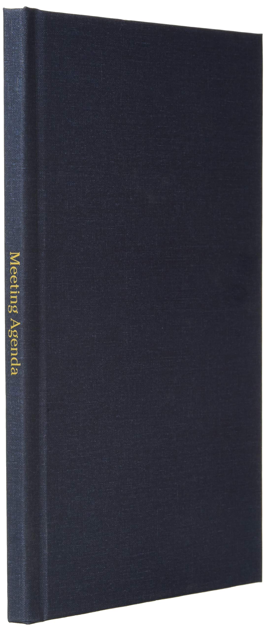 Meeting Agenda: 100 Pages 6 X 9