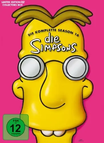 Die Simpsons Season 16 DVD