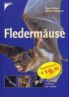 Fledermäuse. Fliegende Kobolde der Nacht