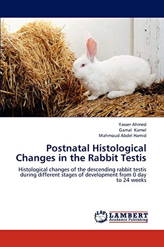 Postnatal Histological Changes in the Rabbit Testis: Histological changes of the descending rabbit testis during different stages of development from 0 day to 24 weeks