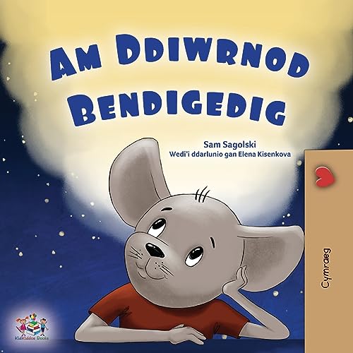 A Wonderful Day (Welsh Book for Children) (Welsh Bedtime Collection)