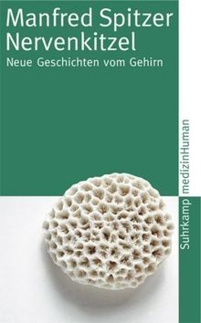 Nervenkitzel: Neue Geschichten vom Gehirn (suhrkamp taschenbuch) von Manfred Spitzer | Buch | Zustand gut