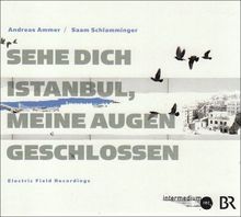 Sehe Dich Istanbul, meine Augen geschlossen, 1 Audio-CD