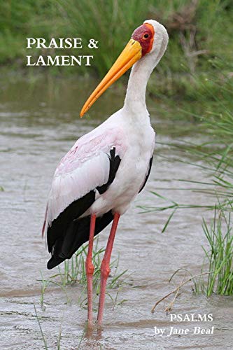 PRAISE & LAMENT: Psalms for the God of Birds
