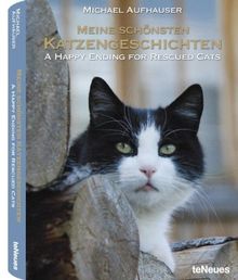 Meine schönsten Katzengeschichten