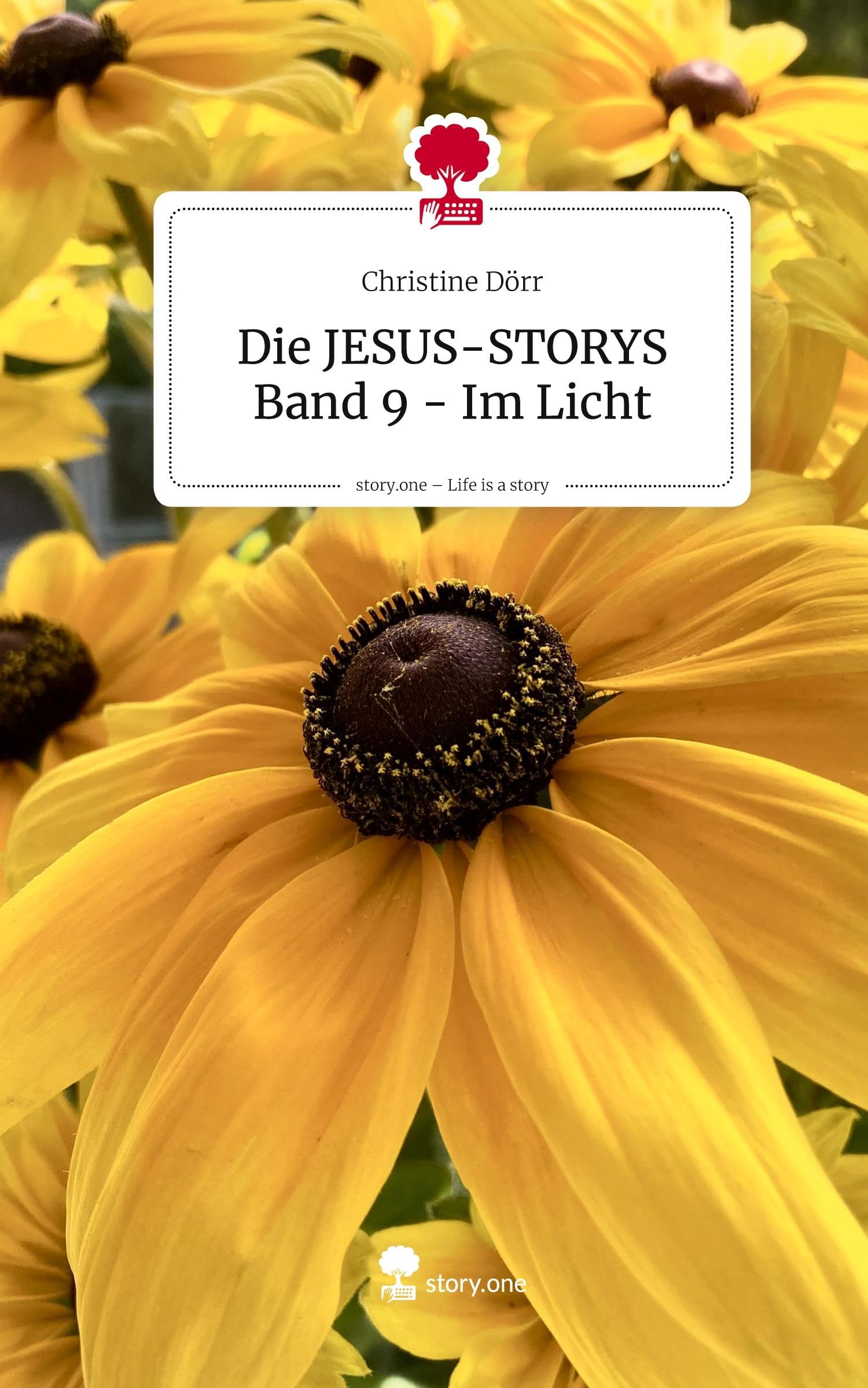 Die JESUS-STORYS Band 9 - Im Licht. Life is a Story - story.one