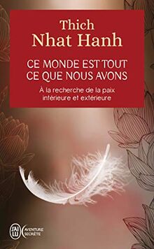 Ce monde est tout ce que nous avons : à la recherche de la paix intérieure et extérieure