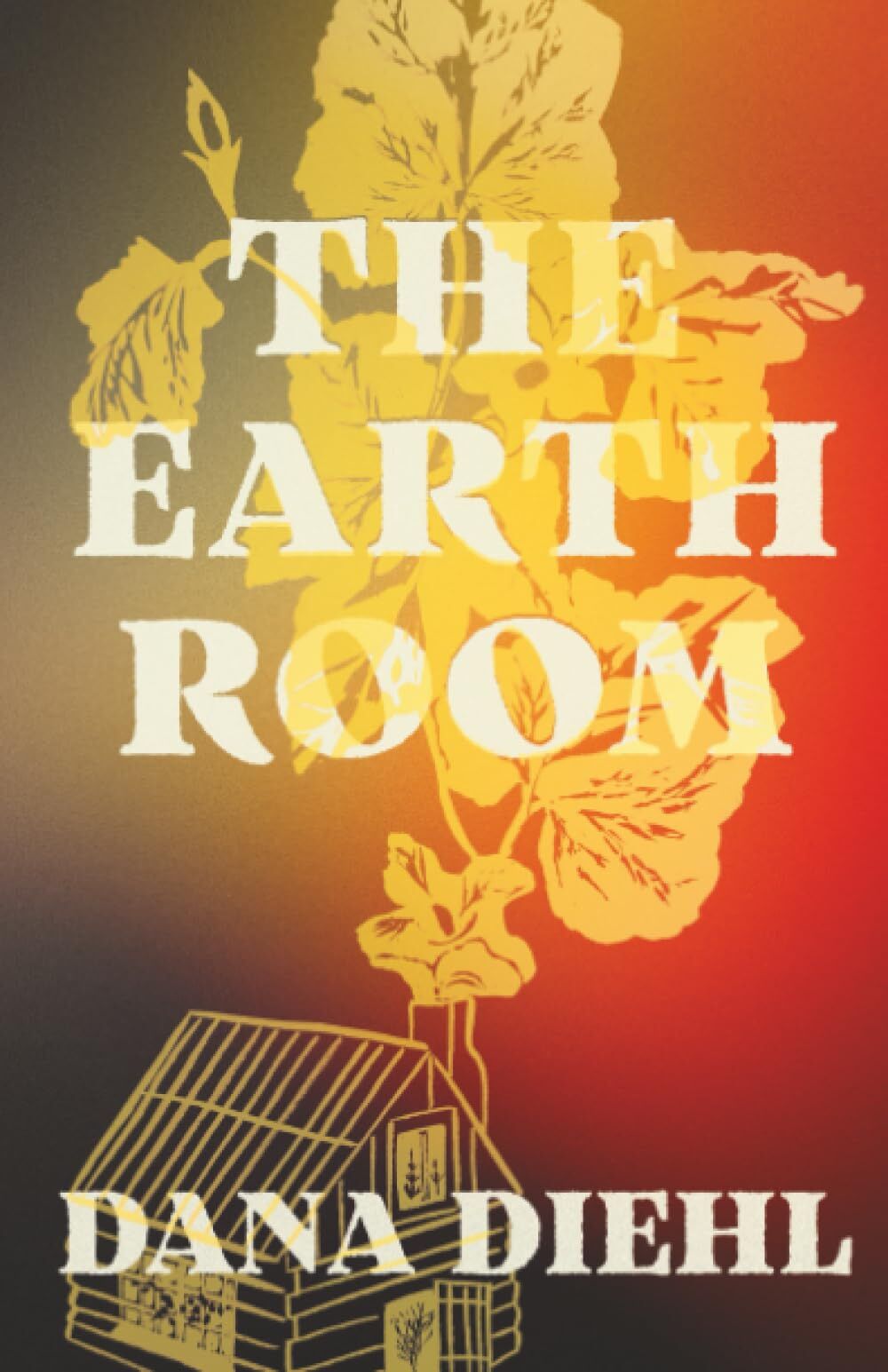 The Earth Room