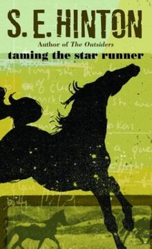 Taming the Star Runner (Laurel-Leaf contemporary fiction)