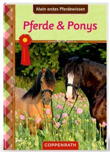 Pferdefreunde: Mein erstes Pferdewissen: Pferde & Ponys von Panzacchi, Cornelia | Buch | Zustand gut