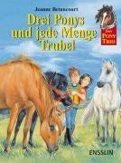 Das Pony-Trio. Drei Ponys und jede Menge Trubel