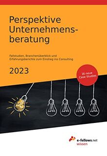 Perspektive Unternehmensberatung 2023: Case Studies, Branchenüberblick und Erfahrungsberichte zum Einstieg ins Consulting (e-fellows.net-Wissen)