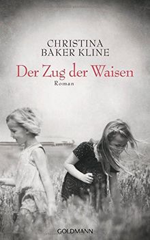 Der Zug der Waisen: Roman